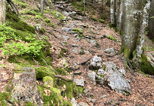 23-05-23 10-06-21 5569